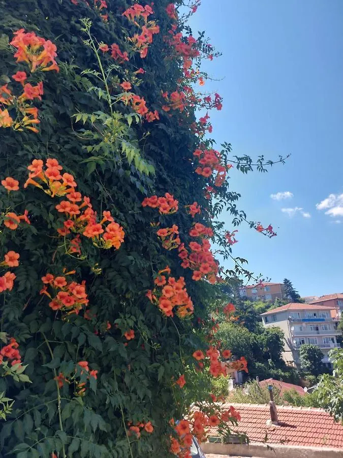 Tarabya Family Suit Villa Istanbul